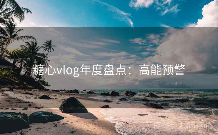 糖心vlog年度盘点：高能预警