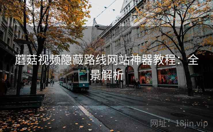 蘑菇视频隐藏路线网站神器教程：全景解析